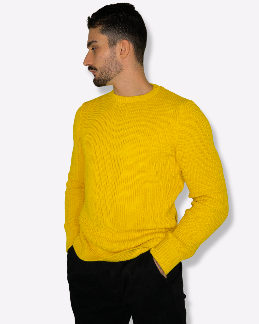 MAGLIONE NJB